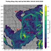 Bản tin dự báo dòng chảy 10 ngày tới (từ ngày 18/02 đến ngày 27/02/2026)