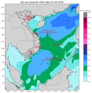 Bản tin dự báo sóng 10 ngày tới (từ ngày 01/02 đến ngày 10/02/2026)