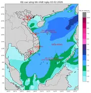 Bản tin dự báo sóng 10 ngày tới (từ ngày 02/02 đến ngày 11/02/2026)