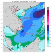 Bản tin dự báo sóng 10 ngày tới (từ ngày 03/02 đến ngày 12/02/2026)