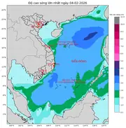 Bản tin dự báo sóng 10 ngày tới (từ ngày 04/02 đến ngày 13/02/2026)