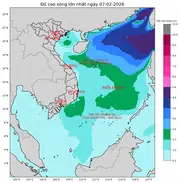 Bản tin dự báo sóng 10 ngày tới (từ ngày 07/02 đến ngày 16/02/2026)
