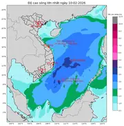 Bản tin dự báo sóng 10 ngày tới (từ ngày 10/02 đến ngày 19/02/2026)
