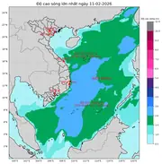 Bản tin dự báo sóng 10 ngày tới (từ ngày 11/02 đến ngày 20/02/2026)