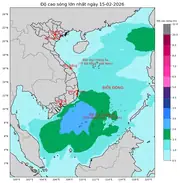 Bản tin dự báo sóng 10 ngày tới (từ ngày 15/02 đến ngày 24/02/2026)