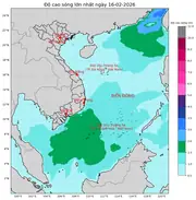 Bản tin dự báo sóng 10 ngày tới (từ ngày 16/02 đến ngày 25/02/2026)