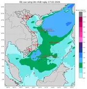 Bản tin dự báo sóng 10 ngày tới (từ ngày 17/02 đến ngày 26/02/2026)