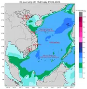 Bản tin dự báo sóng 10 ngày tới (từ ngày 19/02 đến ngày 28/02/2026)