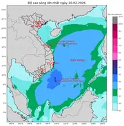 Bản tin dự báo sóng 10 ngày tới (từ ngày 20/02 đến ngày 01/03/2026)