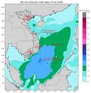 Bản tin dự báo sóng 10 ngày tới (từ ngày 21/02 đến ngày 02/03/2026)