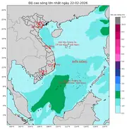 Bản tin dự báo sóng 10 ngày tới (từ ngày 22/02 đến ngày 03/03/2026)