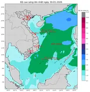Bản tin dự báo sóng 10 ngày tới (từ ngày 30/01 đến ngày 08/02/2026)
