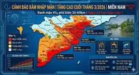 Cảnh báo xâm nhập mặn ĐBSCL cuối tháng 3: ranh mặn lên đến 60km