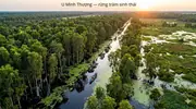 Rừng tràm U Minh Thượng – Khám phá khu rừng sinh thái độc đáo ở Kiên Giang